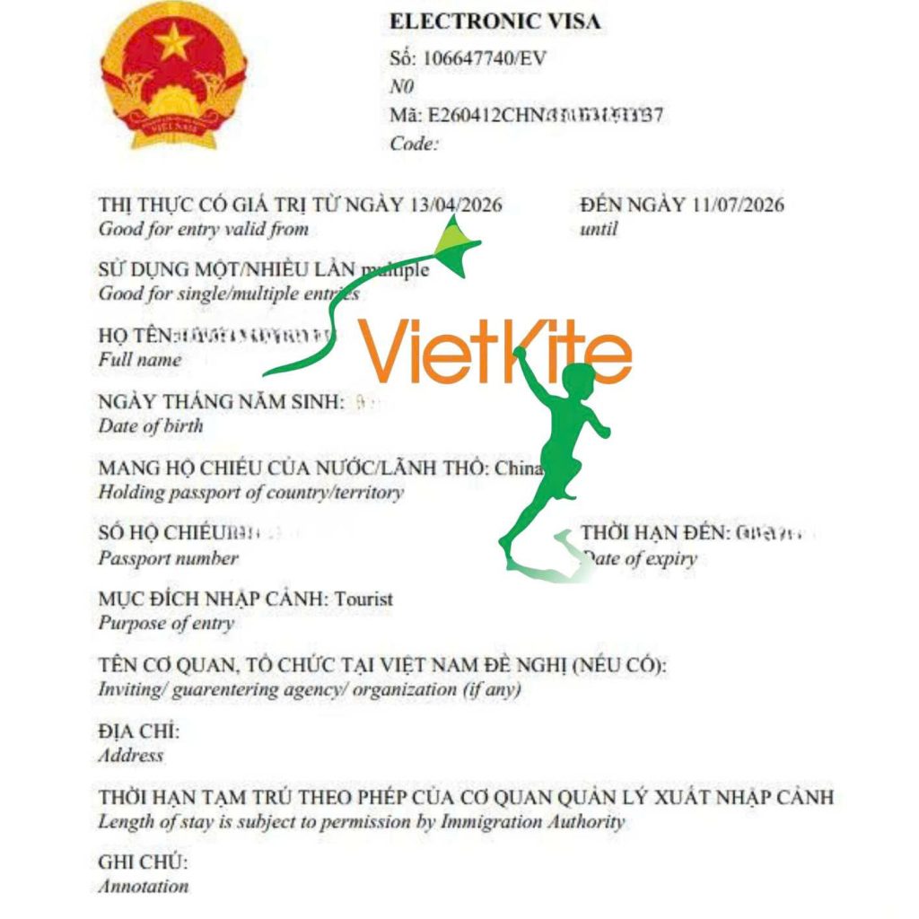 Mẫu E-visa du lịch Việt Nam cho người Trung Quốc