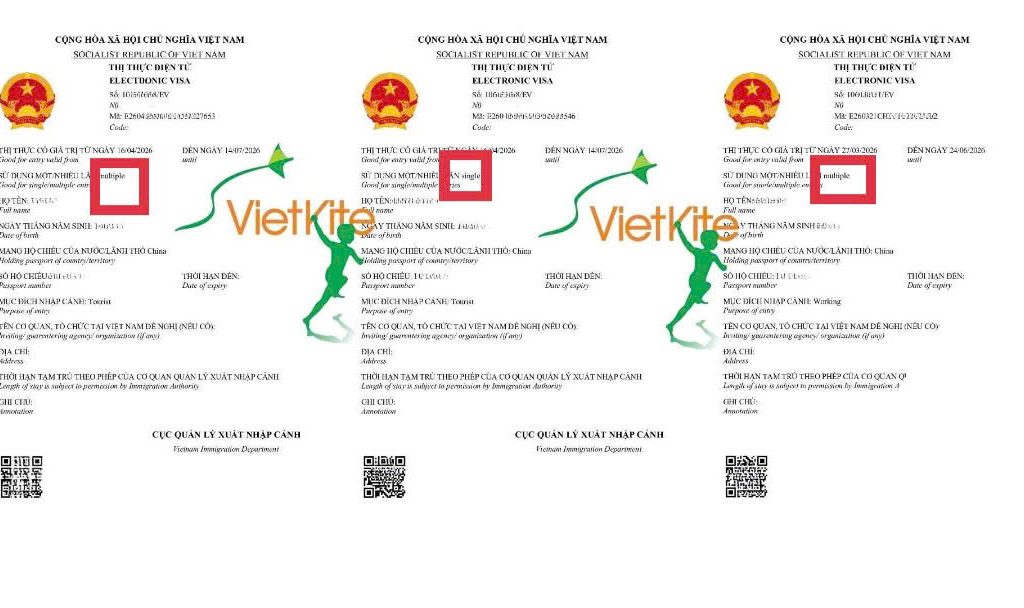 Mẫu E-visa Việt Nam cho người Trung Quốc